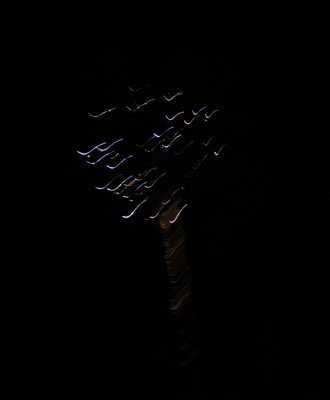 DSC_9933s.jpg