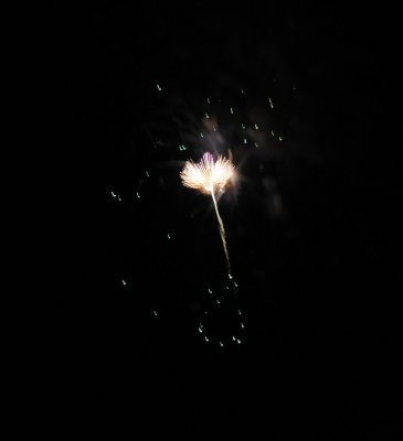 DSC_9955s.jpg