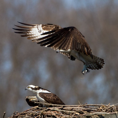 Landing practice