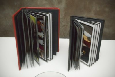 both books have 10 pgs and hold 20 images.JPG
