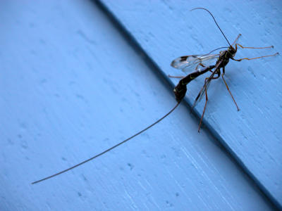 DSCN0120.JPG