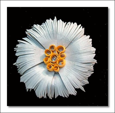 1st Sculptured Flower.jpg