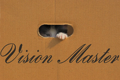 Vision Master 2