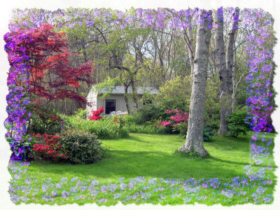 Our yard when the flowers are coming out.