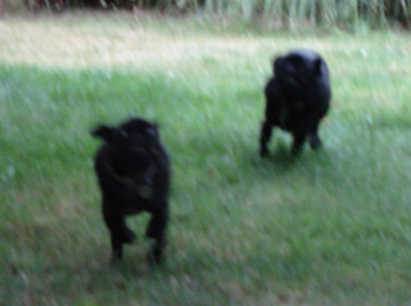 DSC02355 copy.jpg