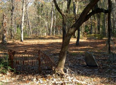 DSC_0010.JPG