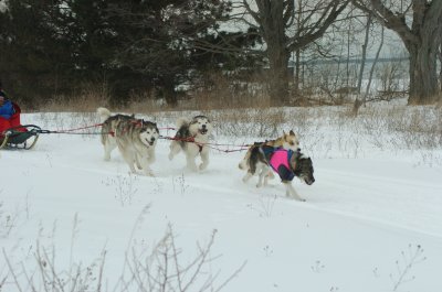 DSC_9407.JPG