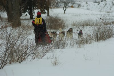 DSC_9418.JPG