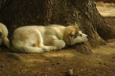 DSC_4672.JPG