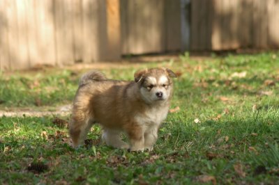 DSC_3764.JPG