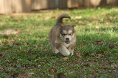 DSC_3765.JPG