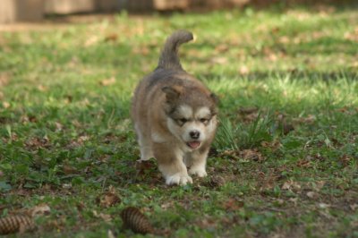 DSC_3766.JPG