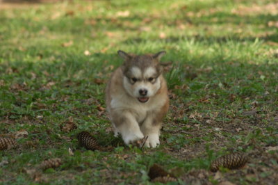 DSC_3767.JPG