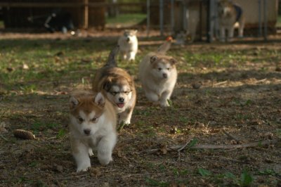 DSC_3771.JPG