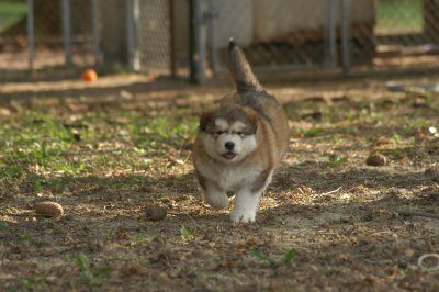 DSC_3778.JPG