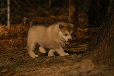 DSC_3780.TIF