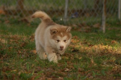 DSC_3787.JPG