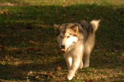DSC_3792.JPG
