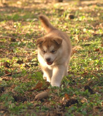 DSC_3794.JPG