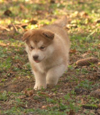 DSC_3796.JPG