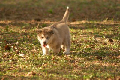 DSC_3800.JPG