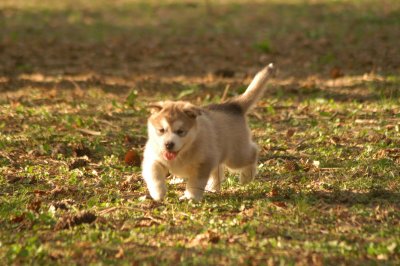 DSC_3801.JPG