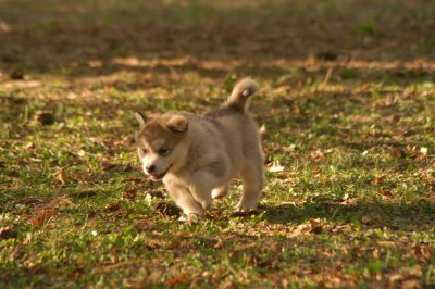 DSC_3802.JPG