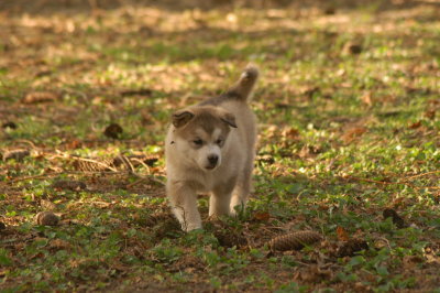 DSC_3804.JPG
