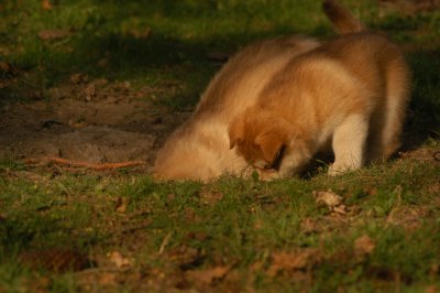 DSC_3809.JPG