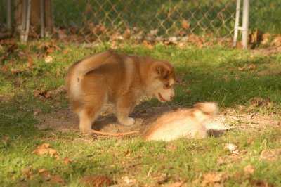 DSC_3810.JPG