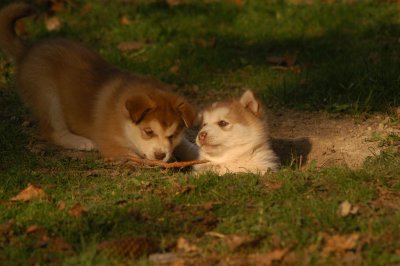 DSC_3811.JPG