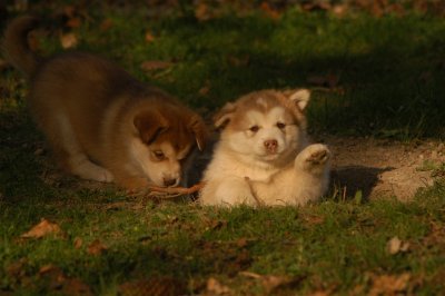 DSC_3812.JPG