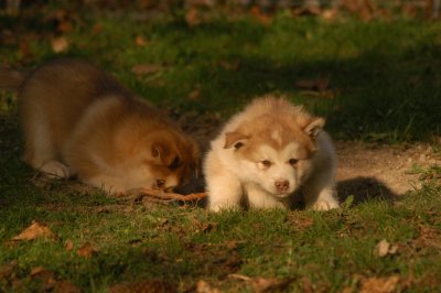DSC_3813.JPG