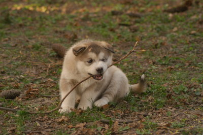 DSC_3819.JPG