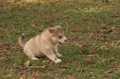 DSC_3821.JPG