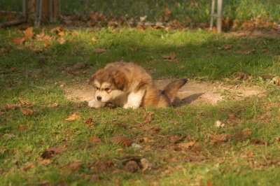 DSC_3825.JPG