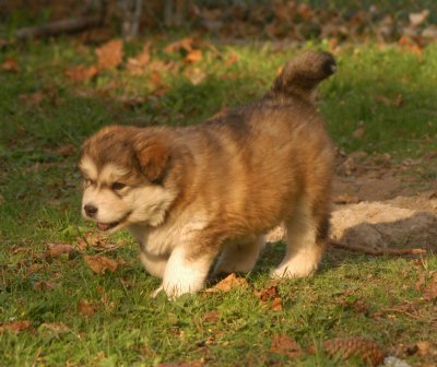 DSC_3827.JPG