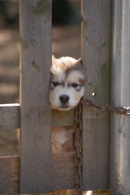 DSC_4038.JPG