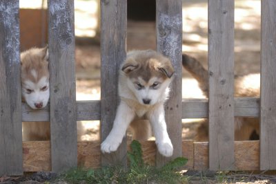 DSC_4048.JPG