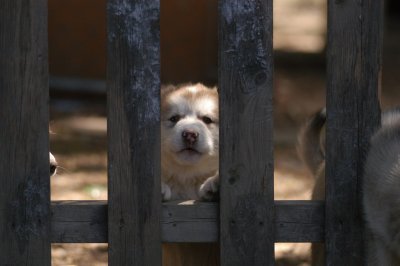 DSC_4058.JPG