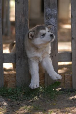 DSC_4059.JPG