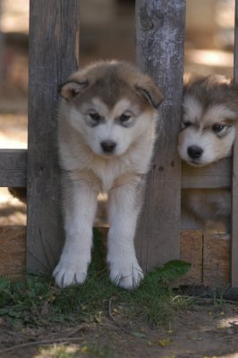 DSC_4064.JPG
