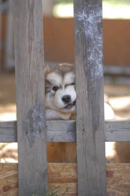 DSC_4068.JPG