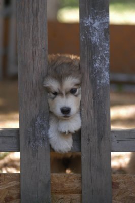 DSC_4069.JPG