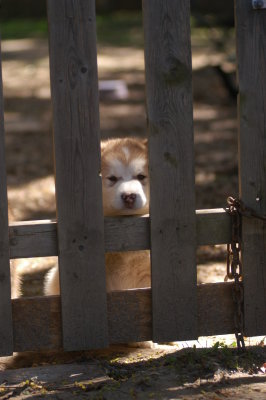 DSC_4099.JPG
