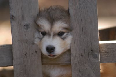 DSC_4105.JPG