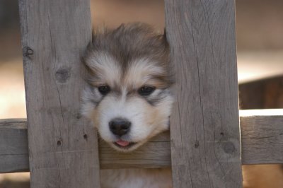 DSC_4106.JPG