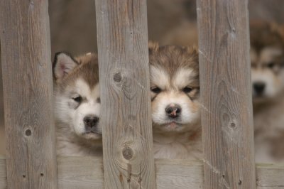 DSC_4110.JPG