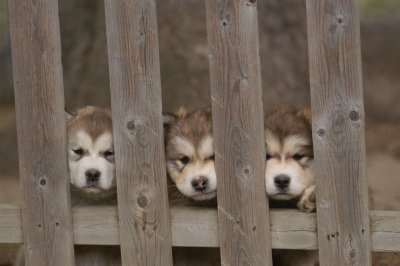 DSC_4112.JPG