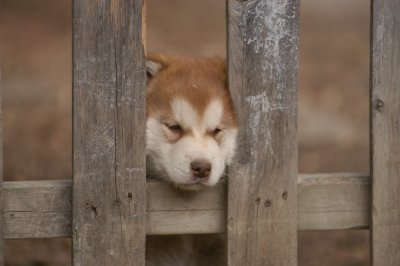 DSC_4122.JPG